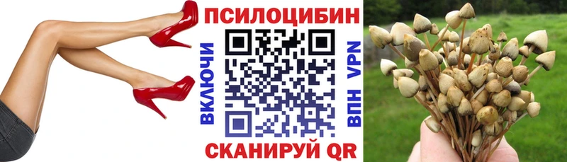 Галлюциногенные грибы Cubensis  маркетплейс Telegram  Мегион 