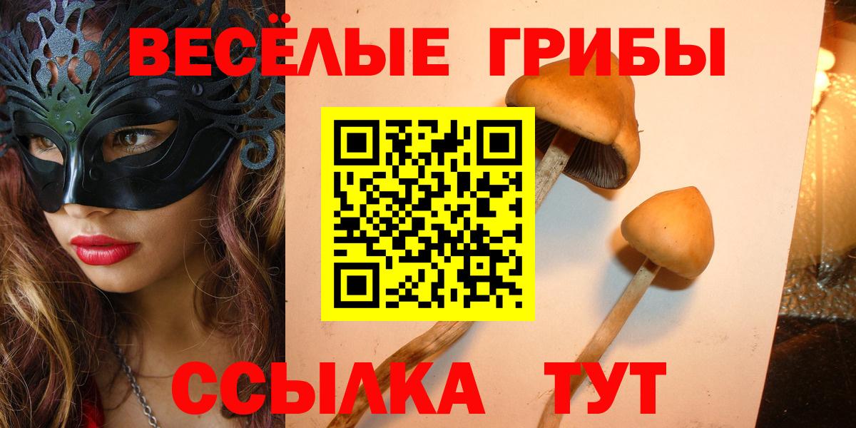 Псилоцибиновые грибы мухоморы  Галлюциногенные грибы мухоморы  Мегион  Вход с VPN 