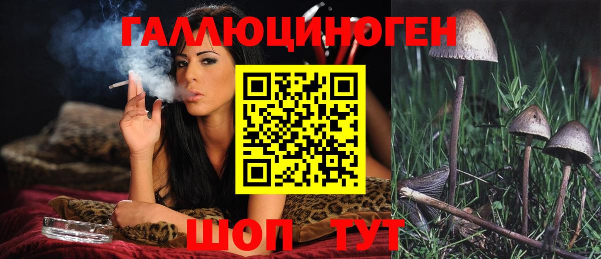 Галлюциногенные грибы GOLDEN TEACHER  Галлюциногенные грибы GOLDEN TEACHER  Мегион 