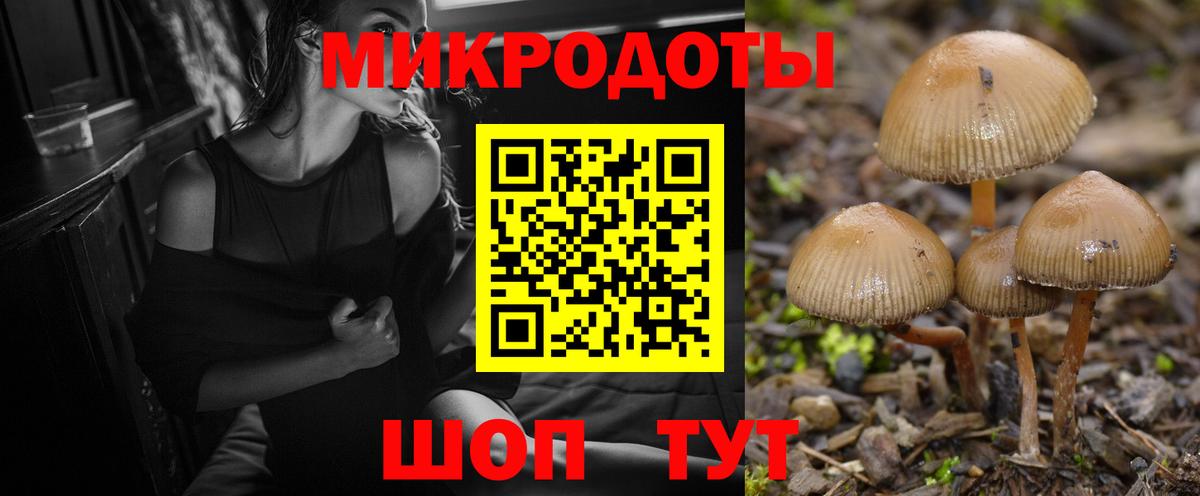 Галлюциногенные грибы прущие грибы Мегион